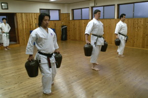 Okinawa Goju-ryu karate