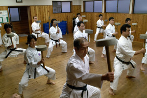 Okinawa karate Praha